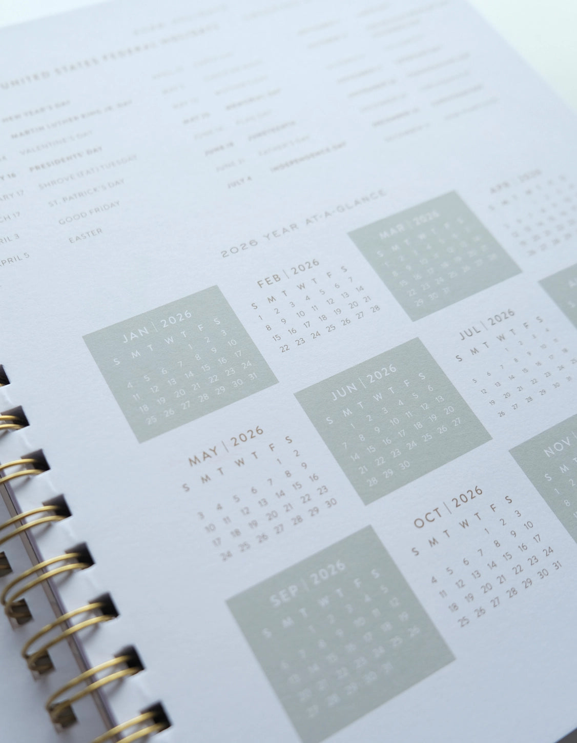 Calendar page from a planner with a white background