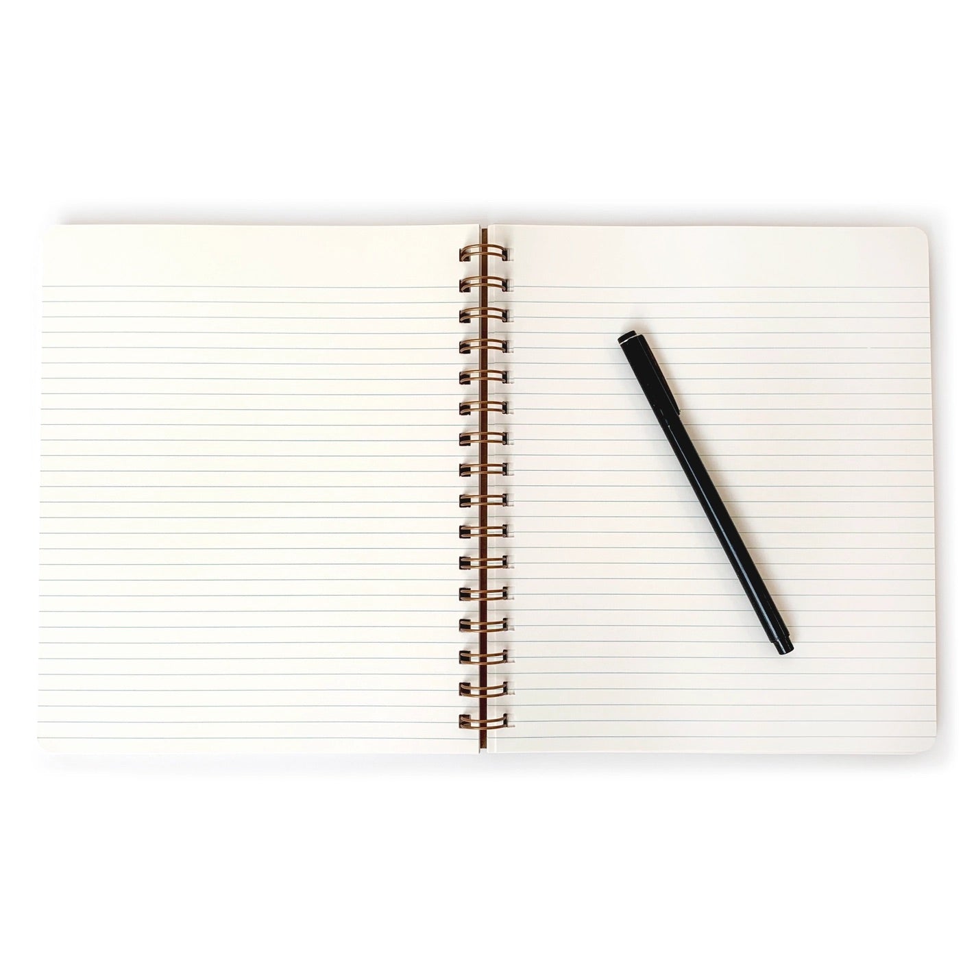 Inside view of a lined notebook