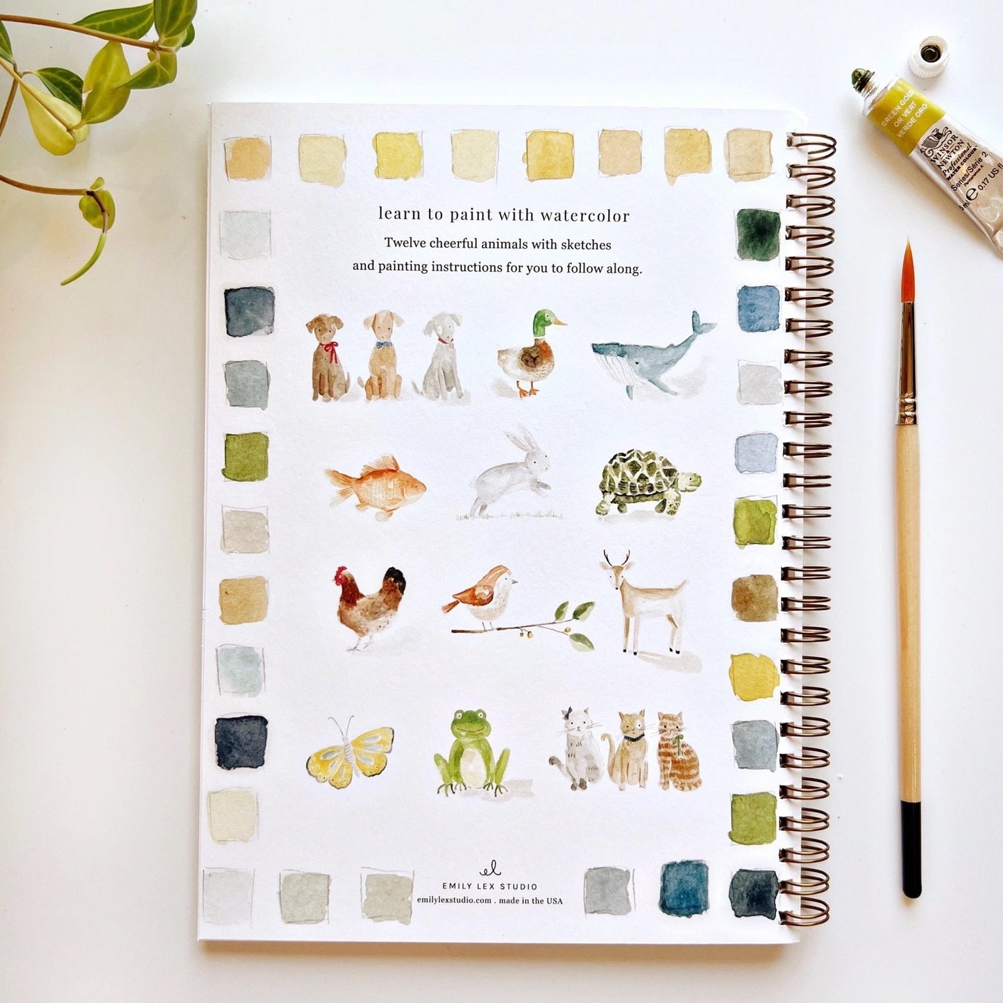 Back cover of workbook showing animal paintings