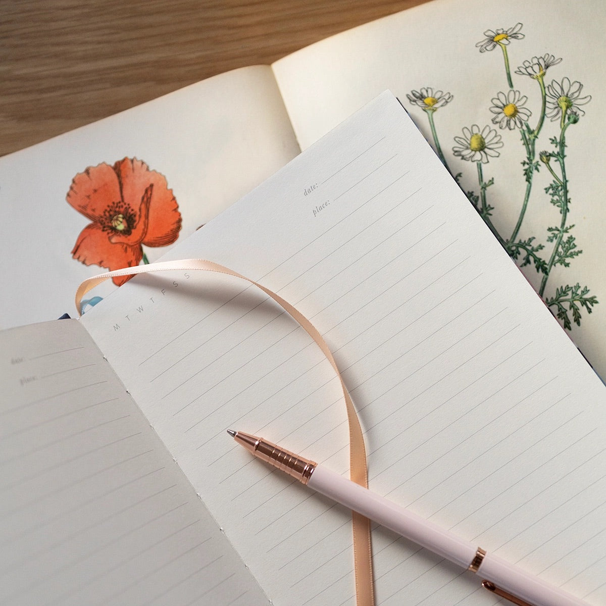 View of open journal with lined pages