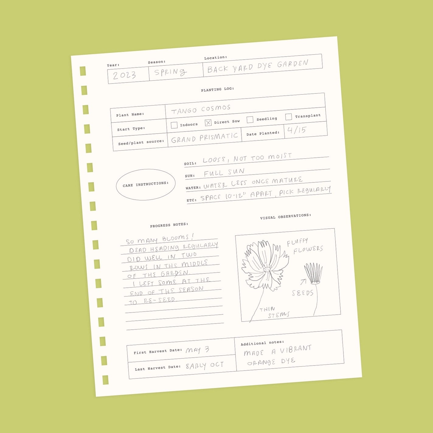 Filled out page from notebook as example