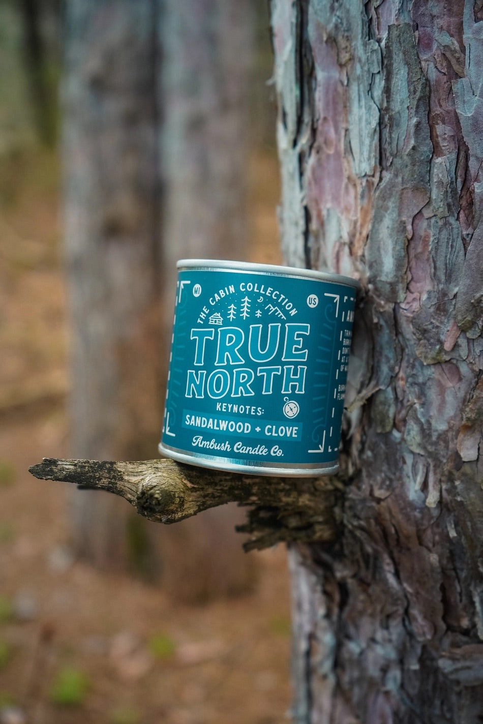 Candle with a blue label. Text on label reads "true north sandalwood and clove"