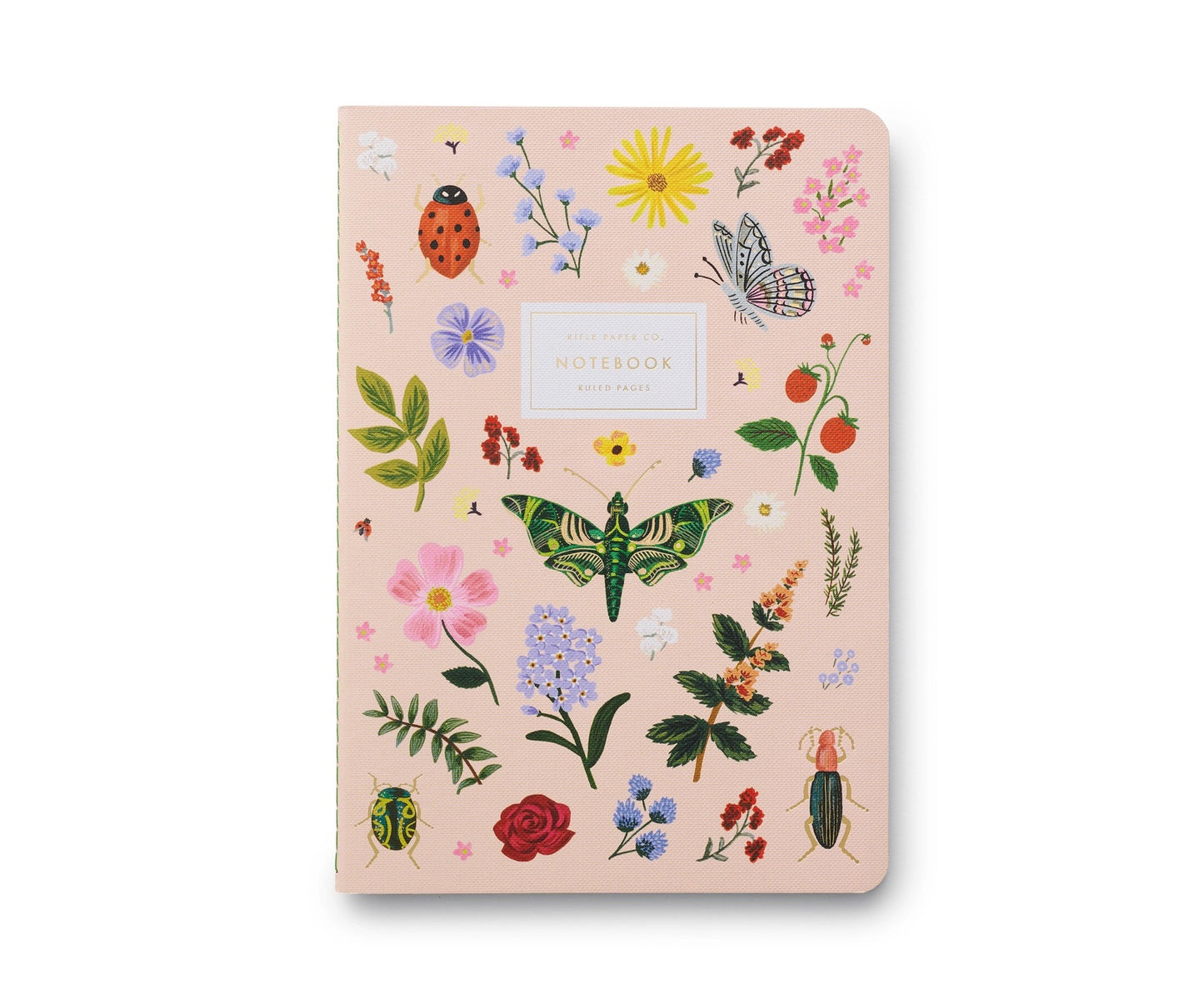 Curio Stitched Notebook Set- 3 pack