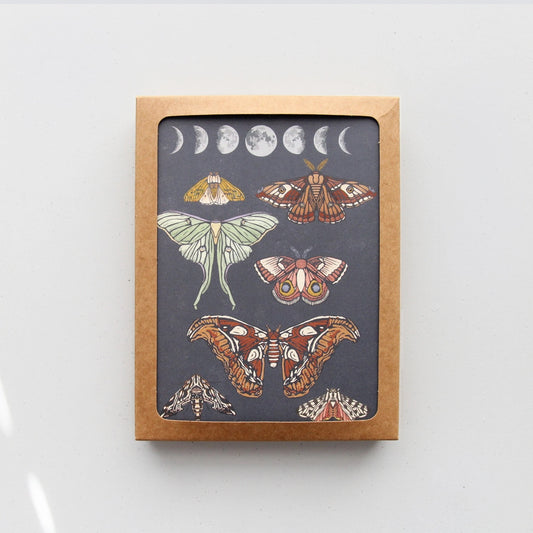 Brown Kraft box of greeting cards. White card with navy background. Illustrations of moons and moths.  