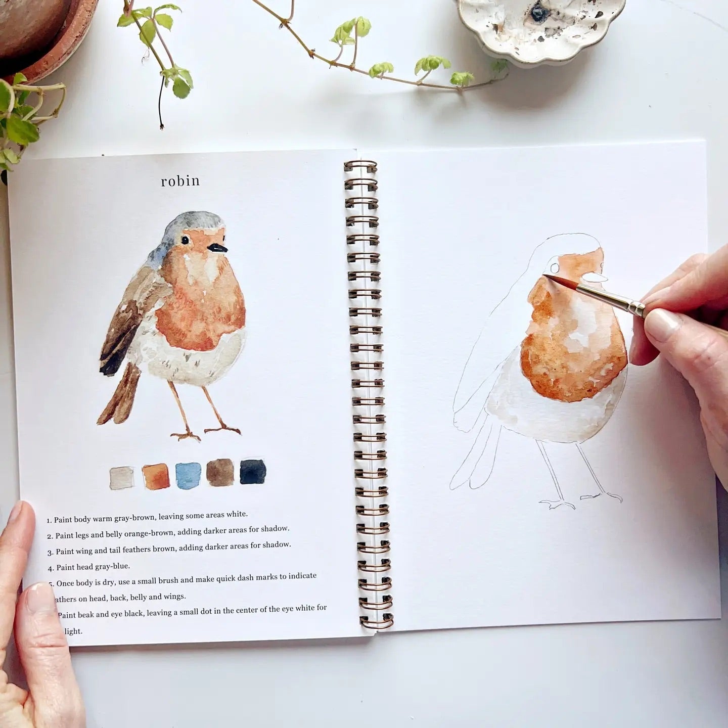 Inside view of person painting a robin with watercolor paints. 