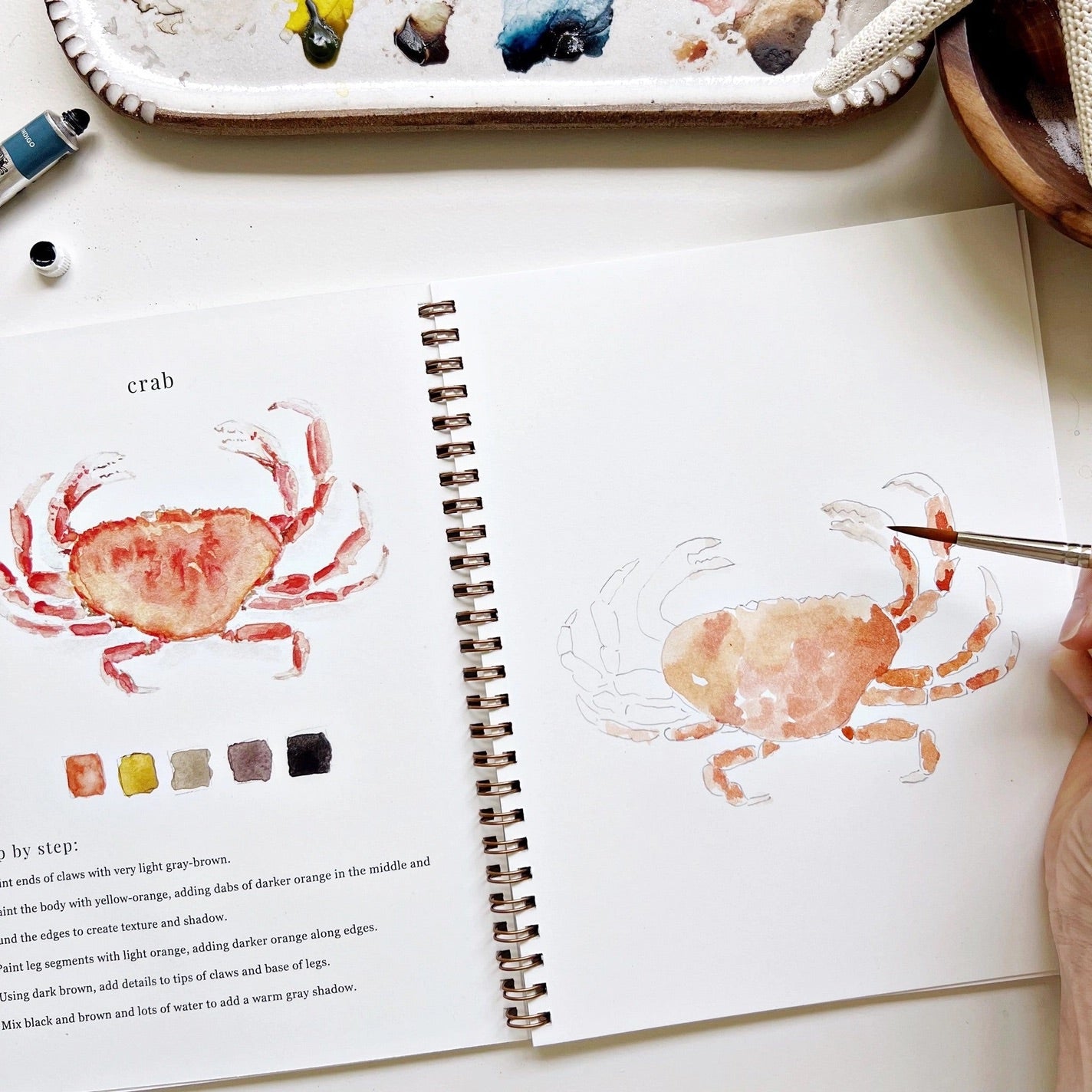 Inside view of watercolor workbook featuring a crab painting 