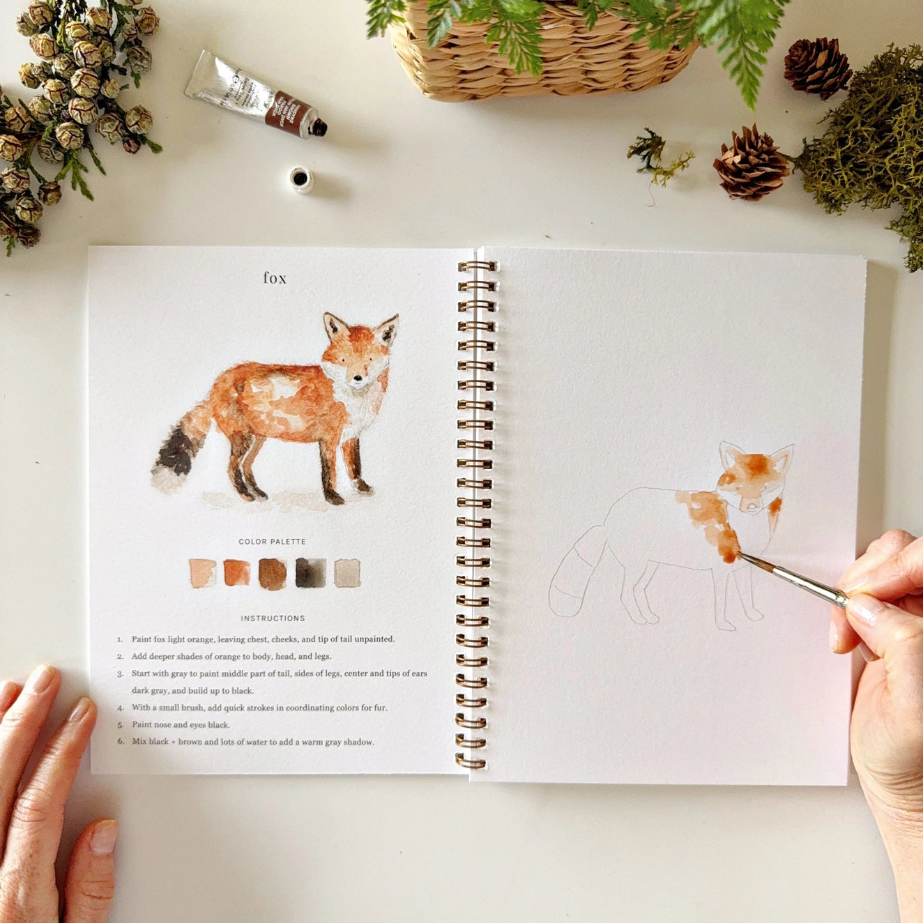 Watercolor Workshop