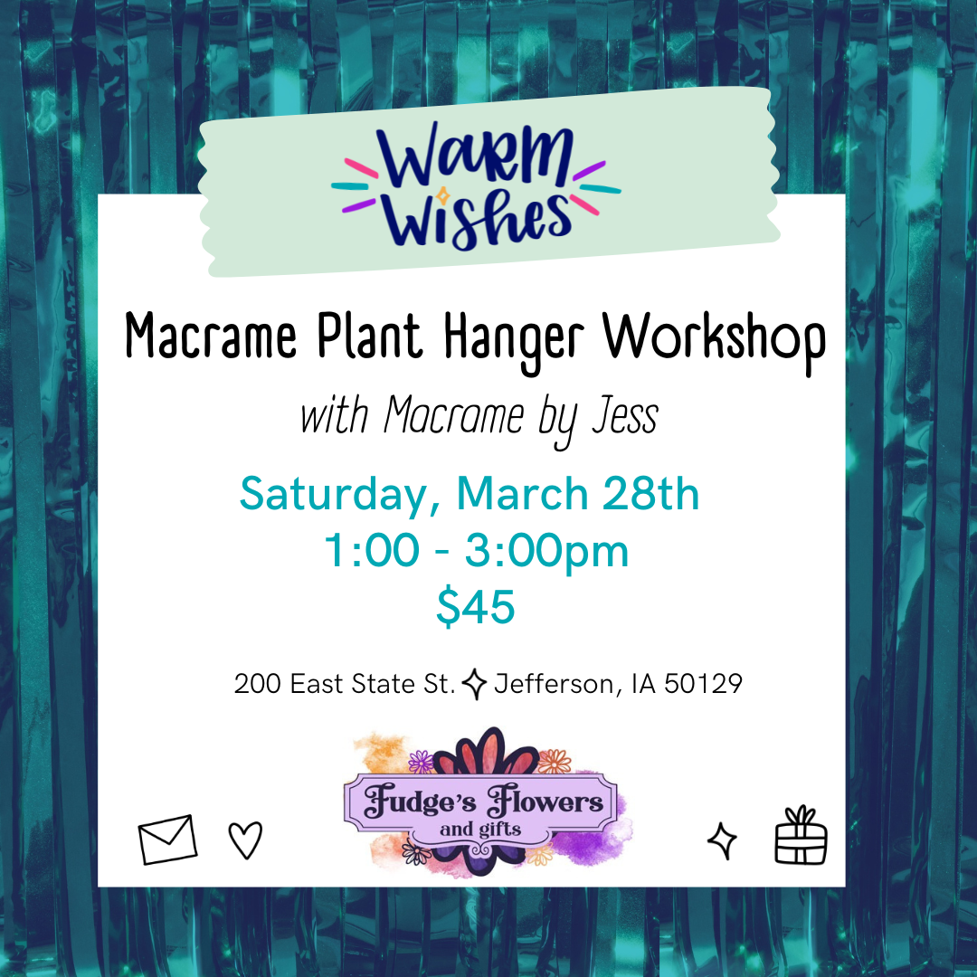 Beginner/Intermediate Macrame Plant Hanger workshop