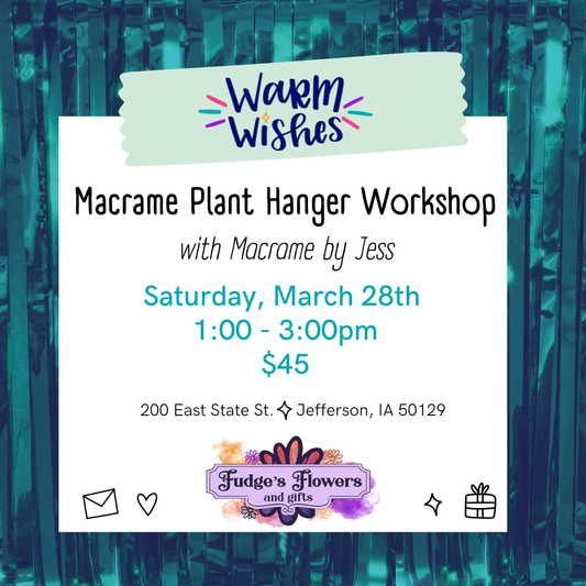 Beginner/Intermediate Macrame Plant Hanger workshop