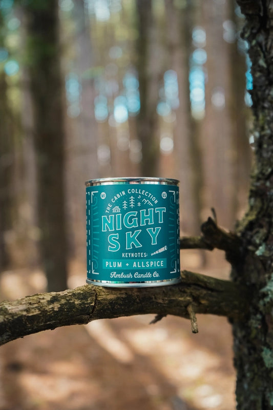 Candle with a teal label. Text reads "night sky, plum and allspice" 