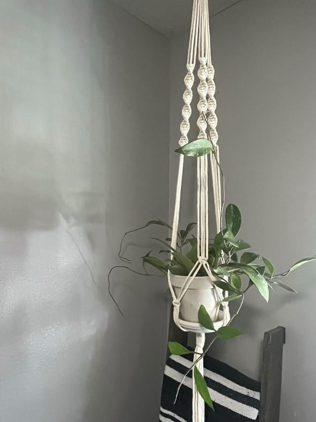 Macrame Plant Hanger workshop