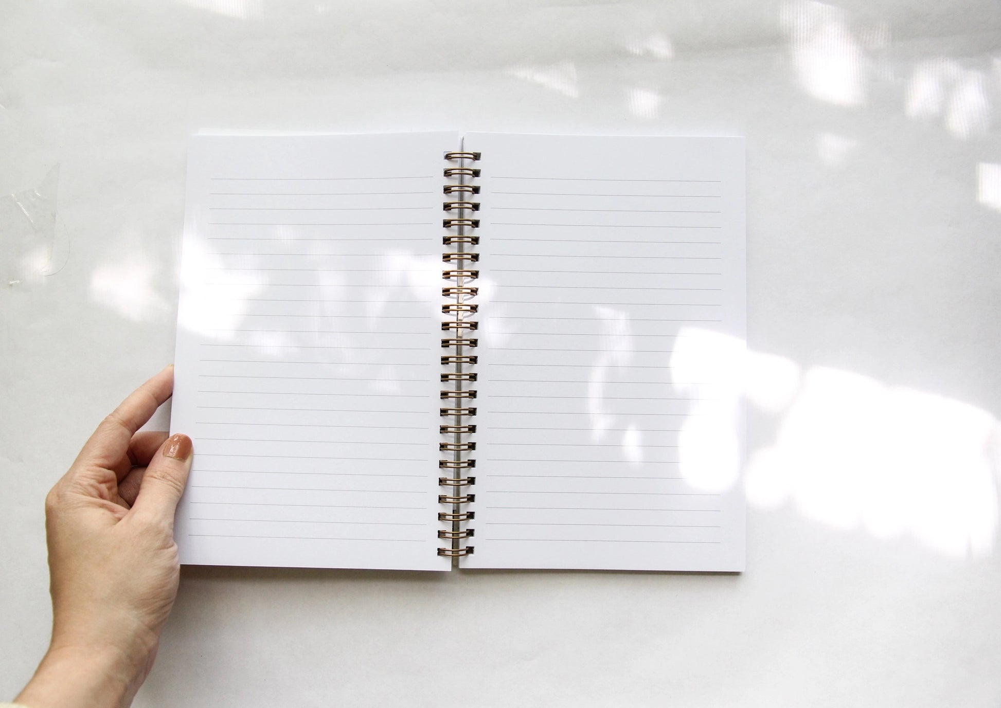 Inside view. Two pages of lined notebook paper 