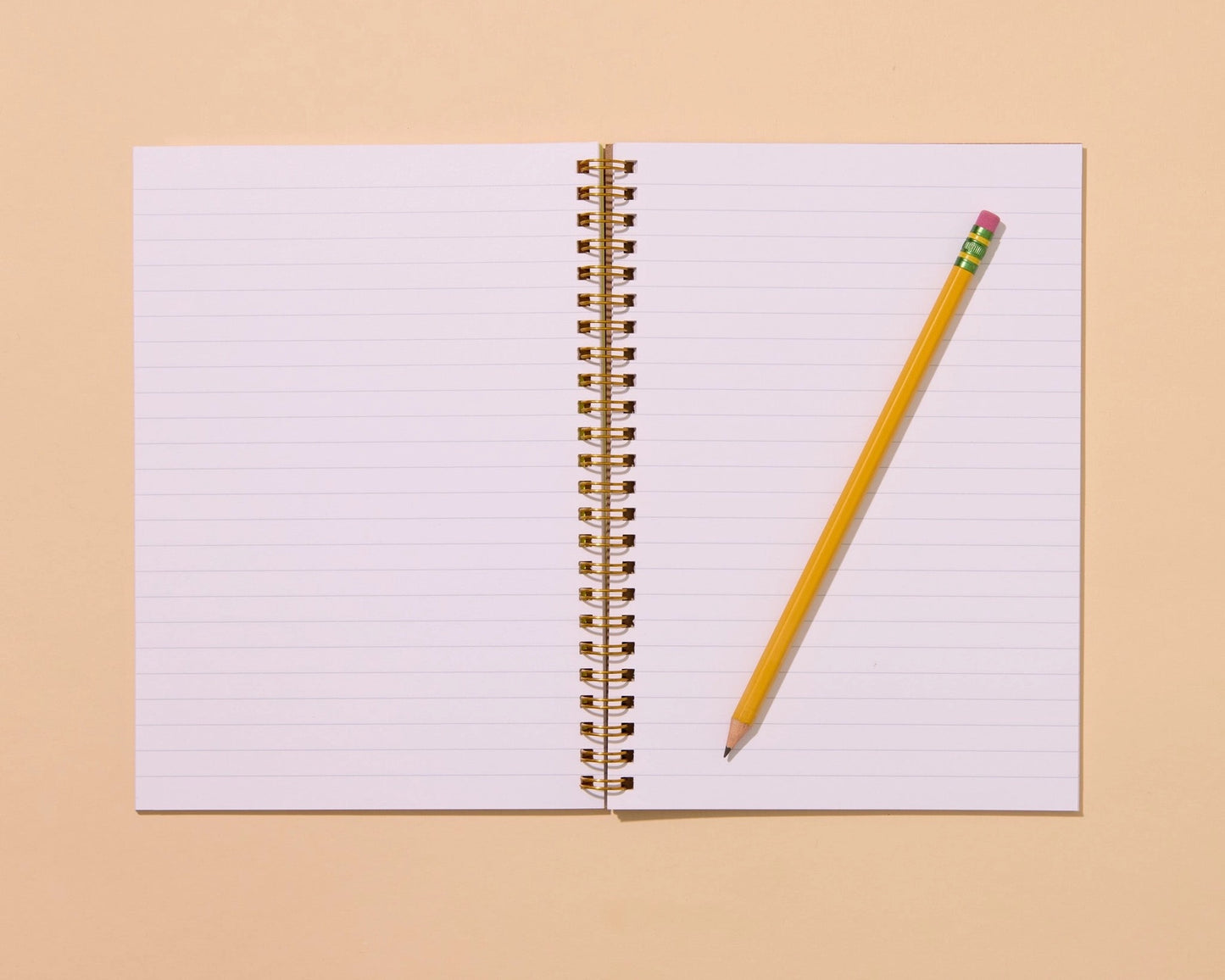 Inside view of notebook. White paper with ruled lines. 