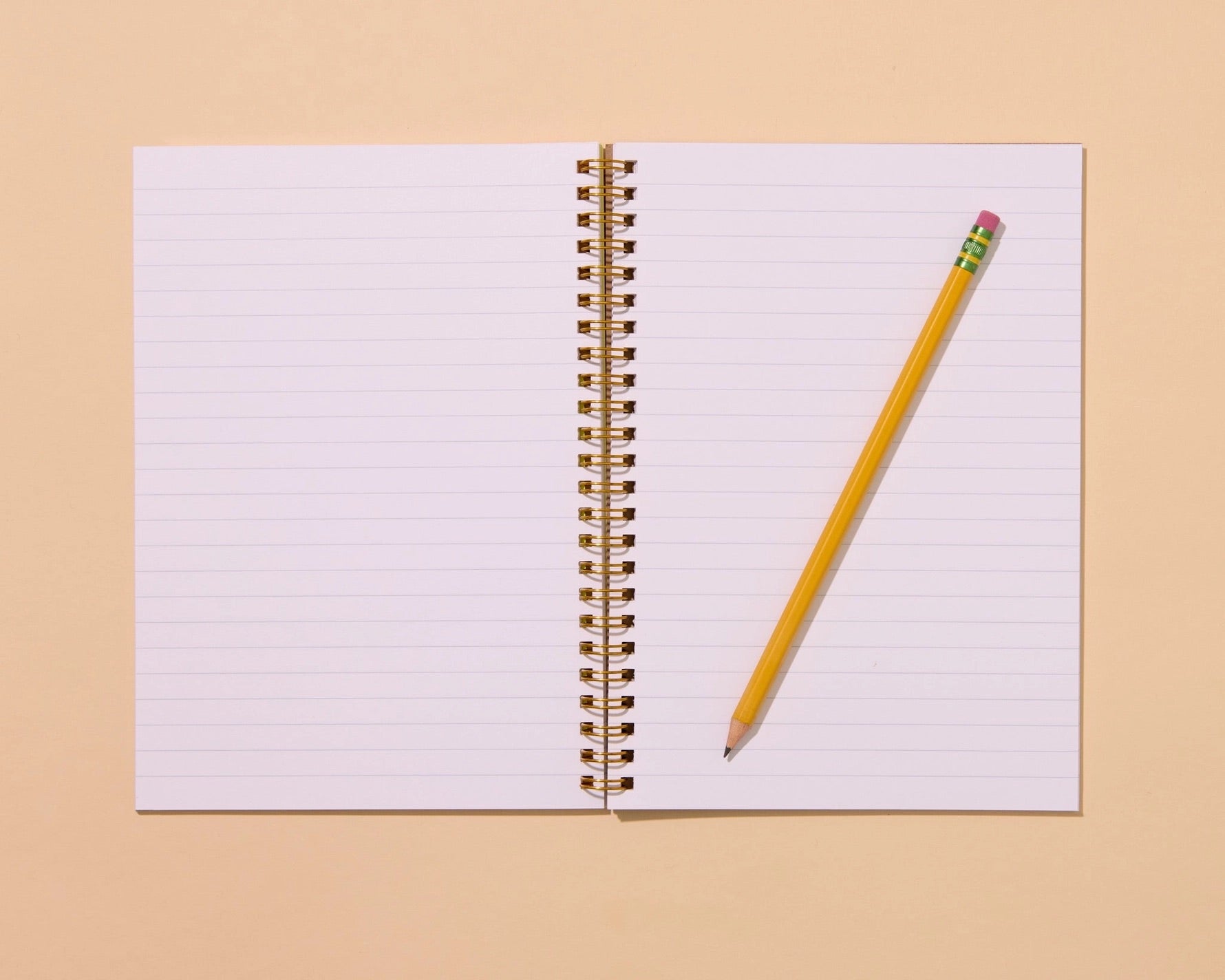 Inside view of notebook. White paper with ruled lines. 