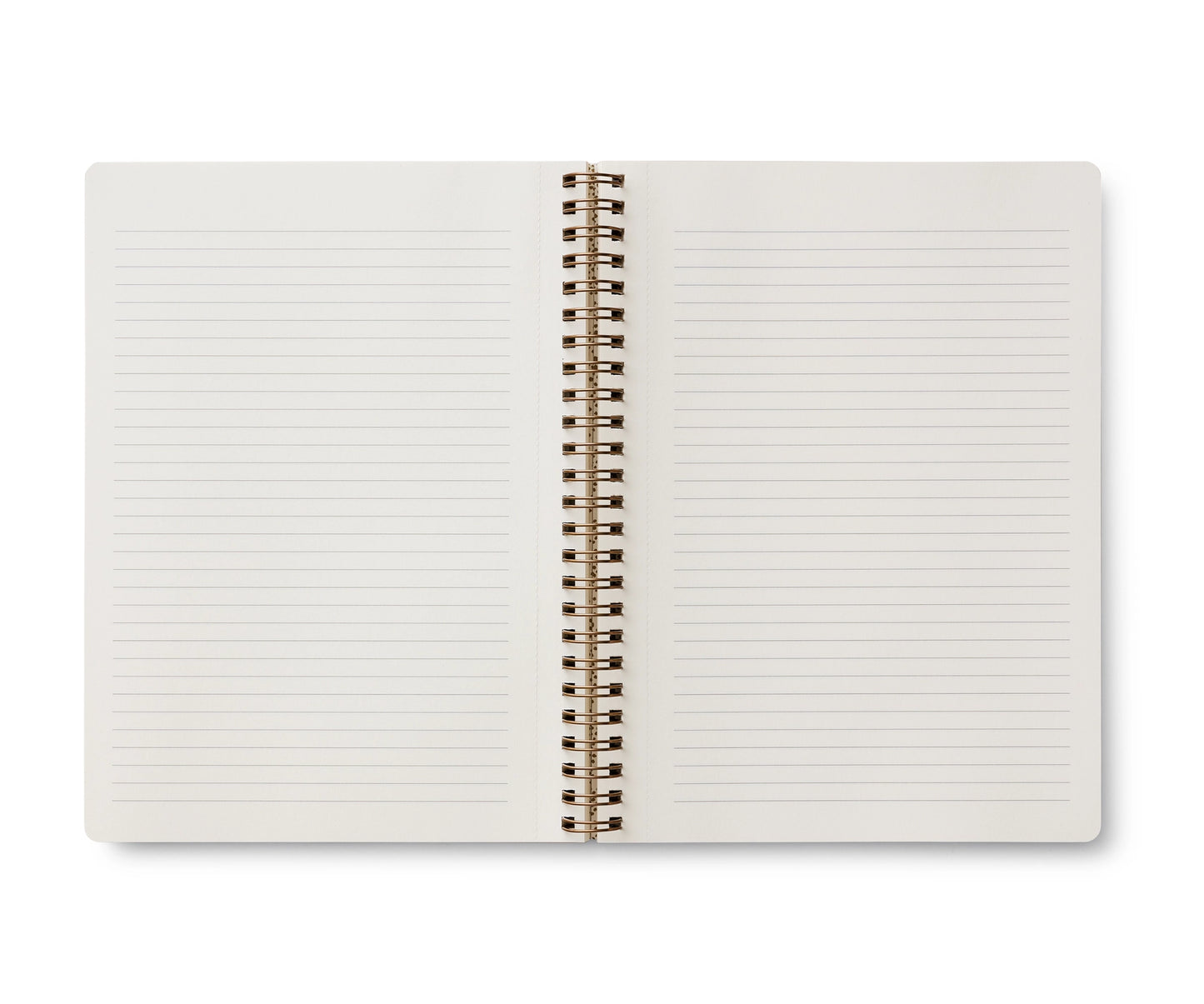Inside view of lined notebook 