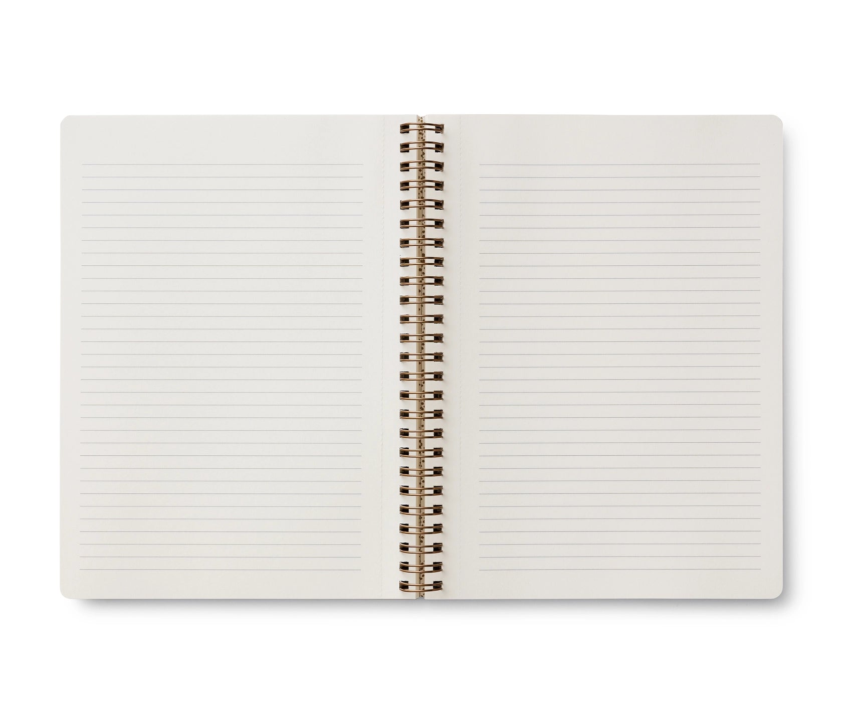 Inside view of lined notebook 