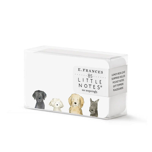 Box of small white notecards with illustrations of dogs on a white background