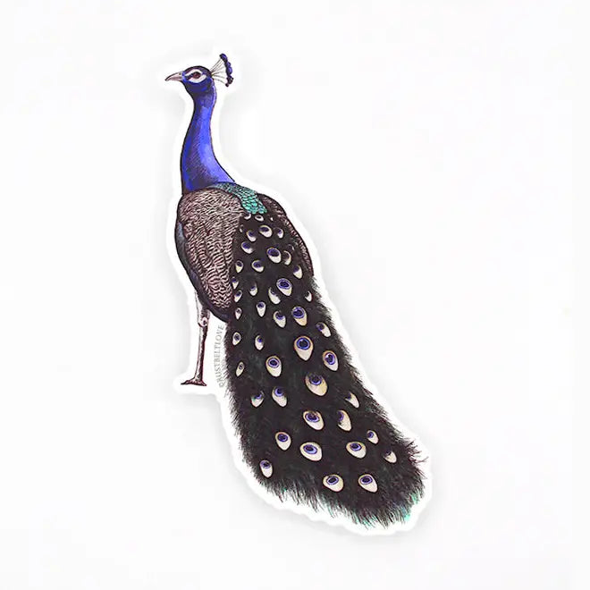 Die-cut peacock sticker